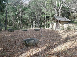 上野廢寺跡