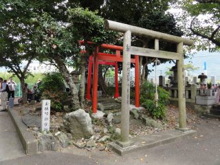 The estimated place as 'tamagaki-no-magari-no-ton'