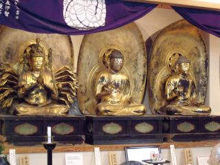 Fujishiro-oji gongen hondo Shrine